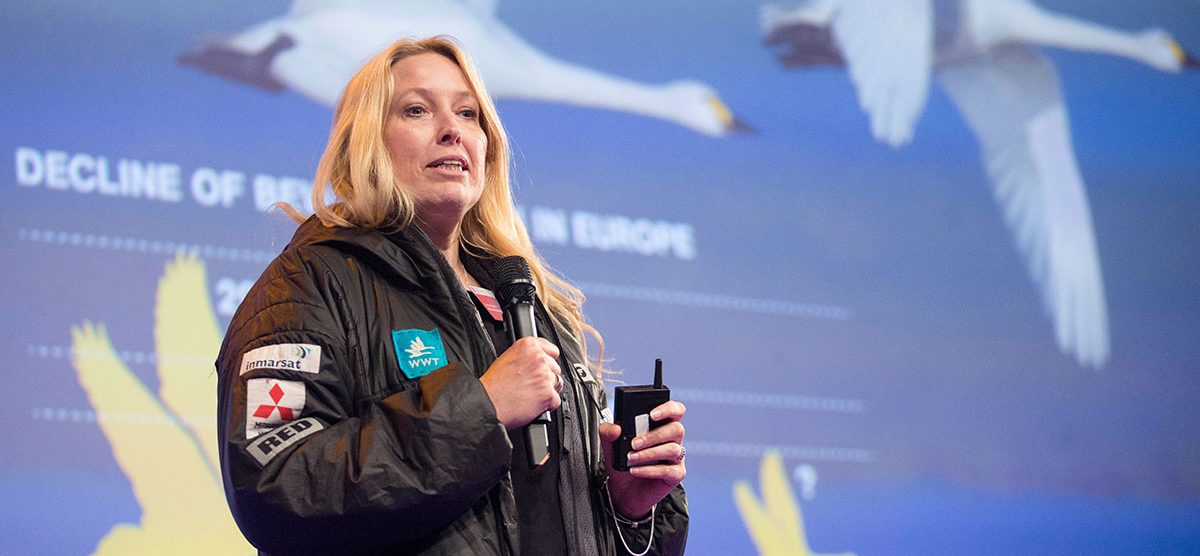 2017 ECS & EACD Kick-off Day