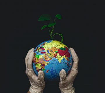 The latest addition to the EACD's Working Groups focuses on content creation.