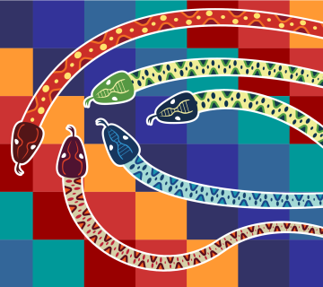 EACD Webinar | Corporate Snakes and Career Ladders